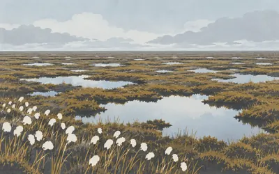 The Flow Country, Riding across a World Heritage Site: an illustration of a place on this route.