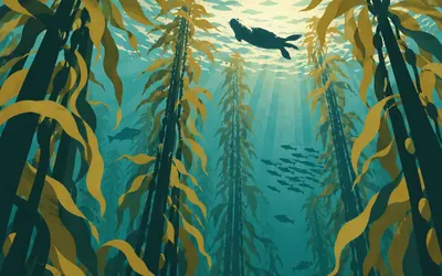 Monterey Bay Sanctuary, Two miles down, thirty miles out: an illustration of a place on this route.