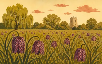 North Meadow, Cricklade, Half a million fritillaries, one hay meadow: an illustration of a place on this route.